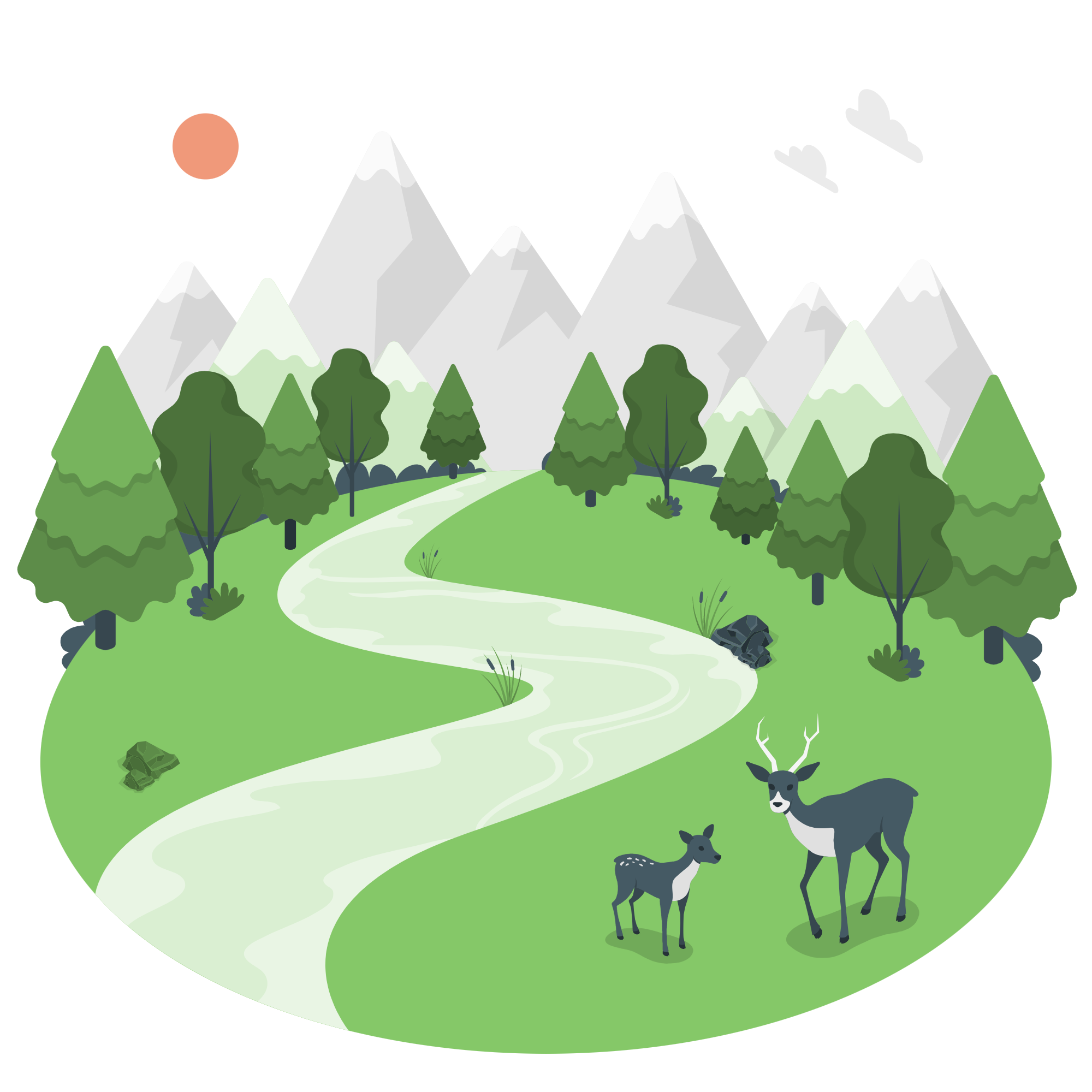 Forest-amico Forest-amico