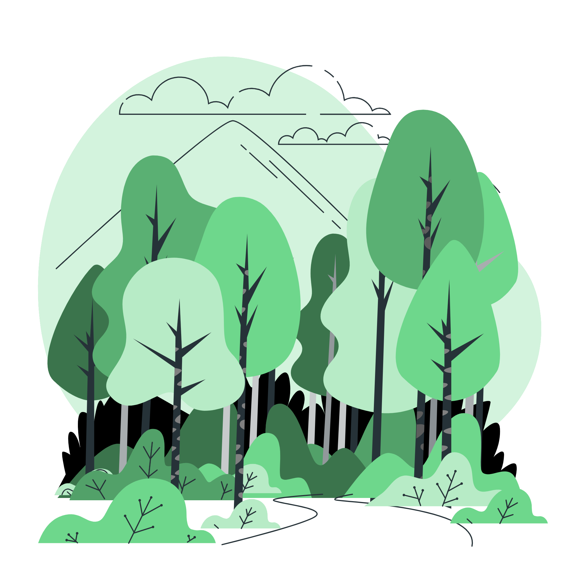 Forest-bro Forest-bro